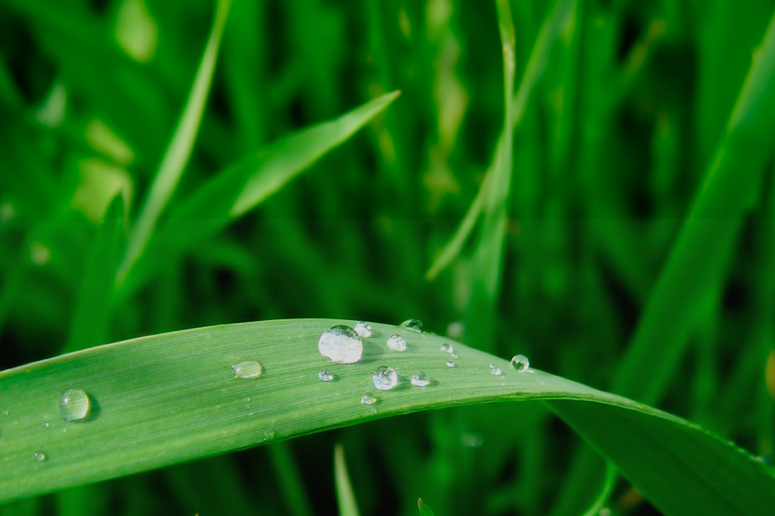 Wir sind Klima-Pioniere und leben die Klimaneutralit&auml;t